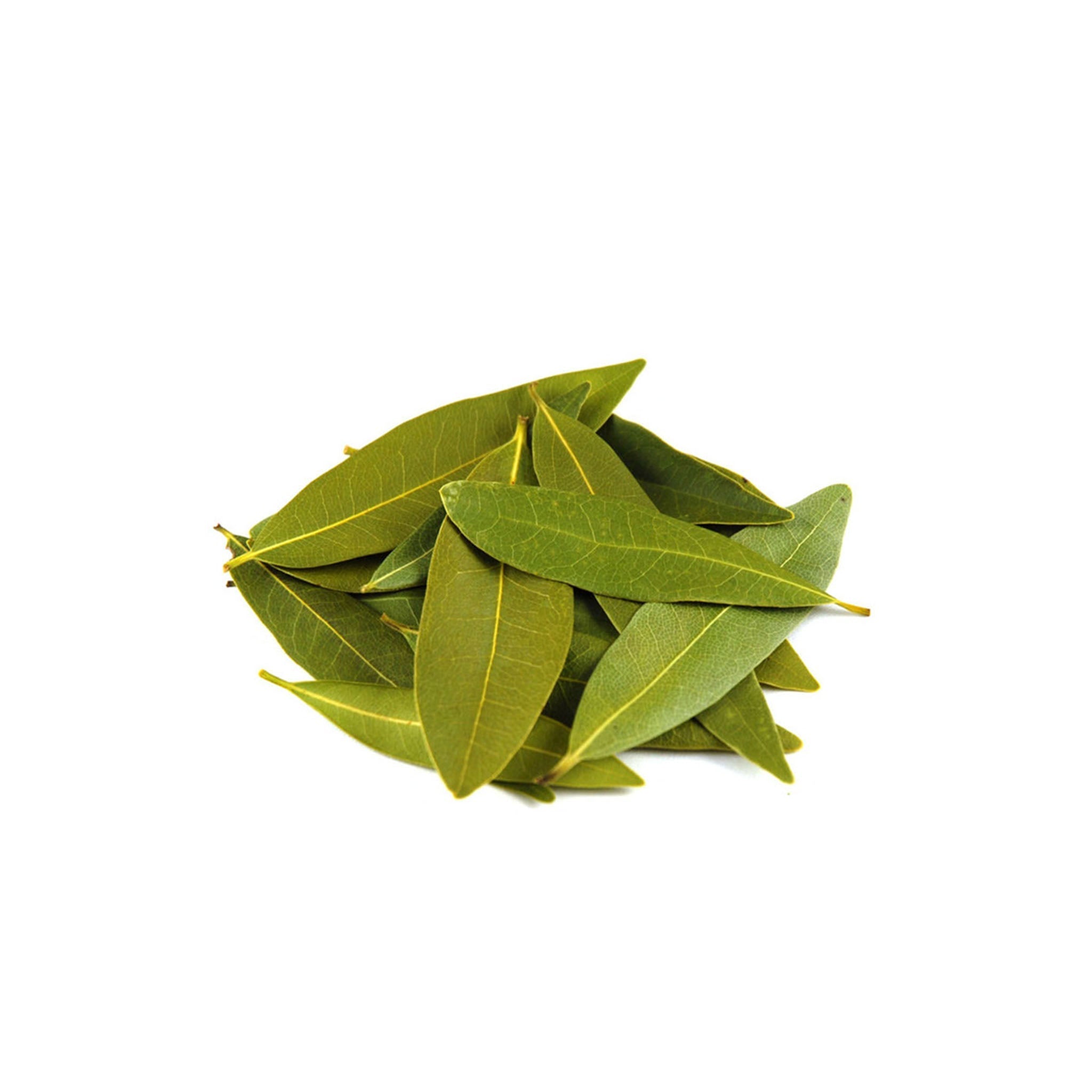 Bulk Bay Leaves at Wholesale Pricing – Bakers Authority